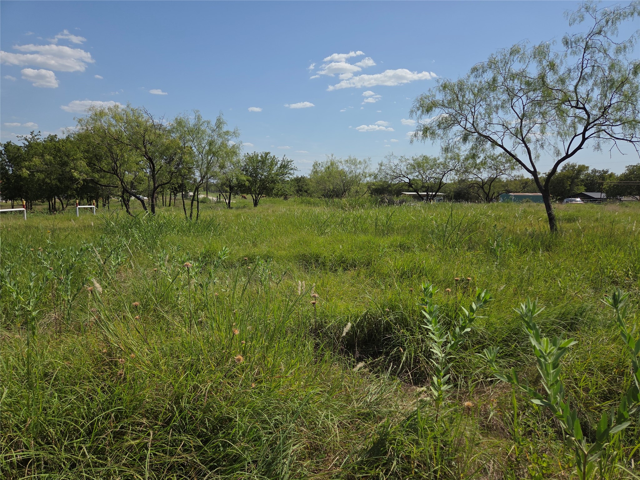 Lot 5-R4 SW County Road