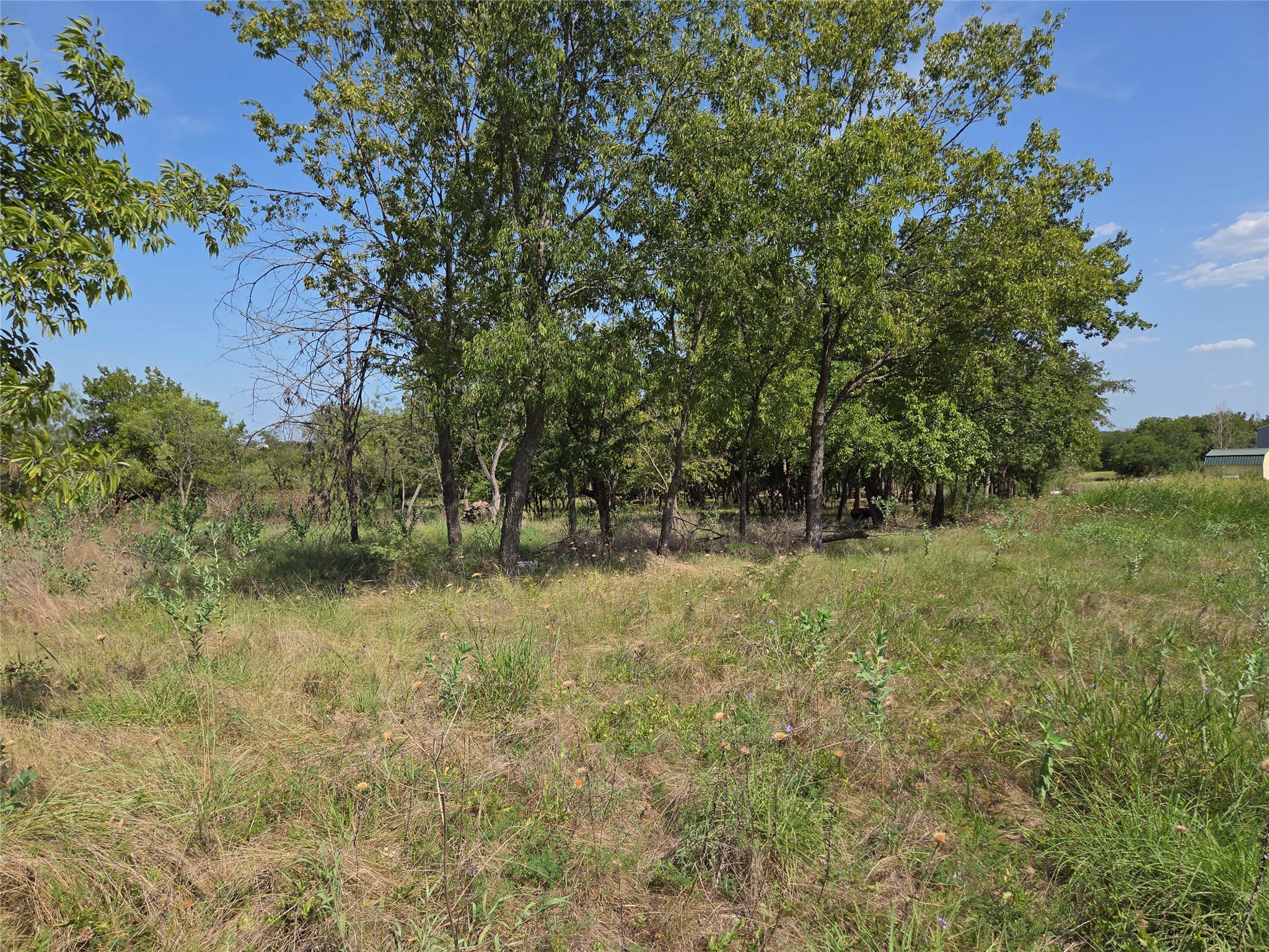Lot 5-R4 SW County Road
