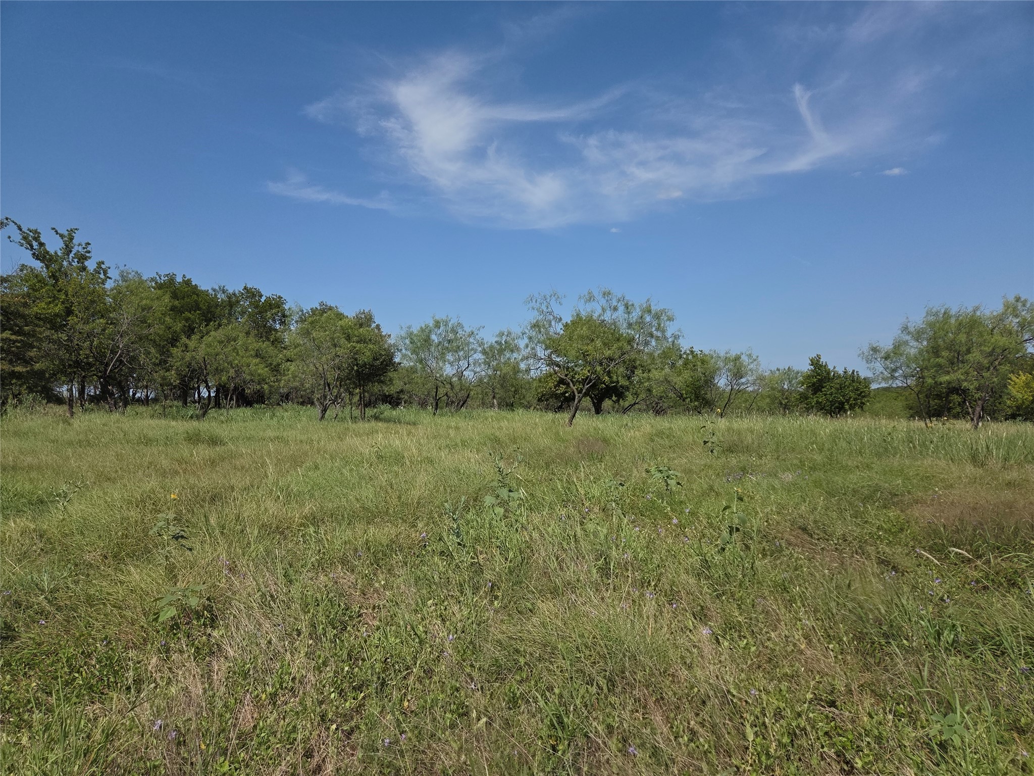 Lot 5-R4 SW County Road