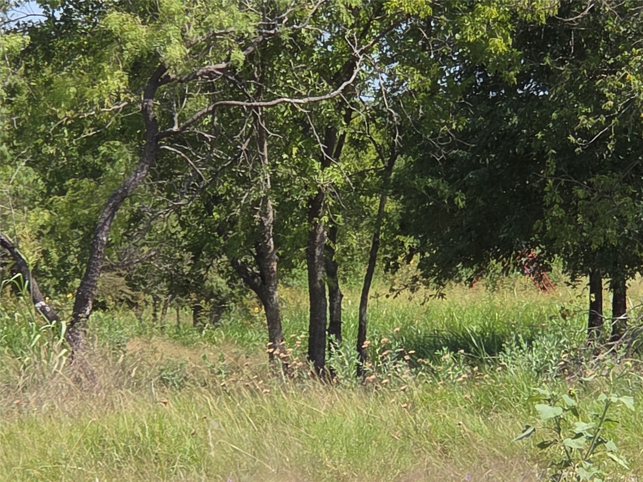 Lot 5-R4 SW County Road