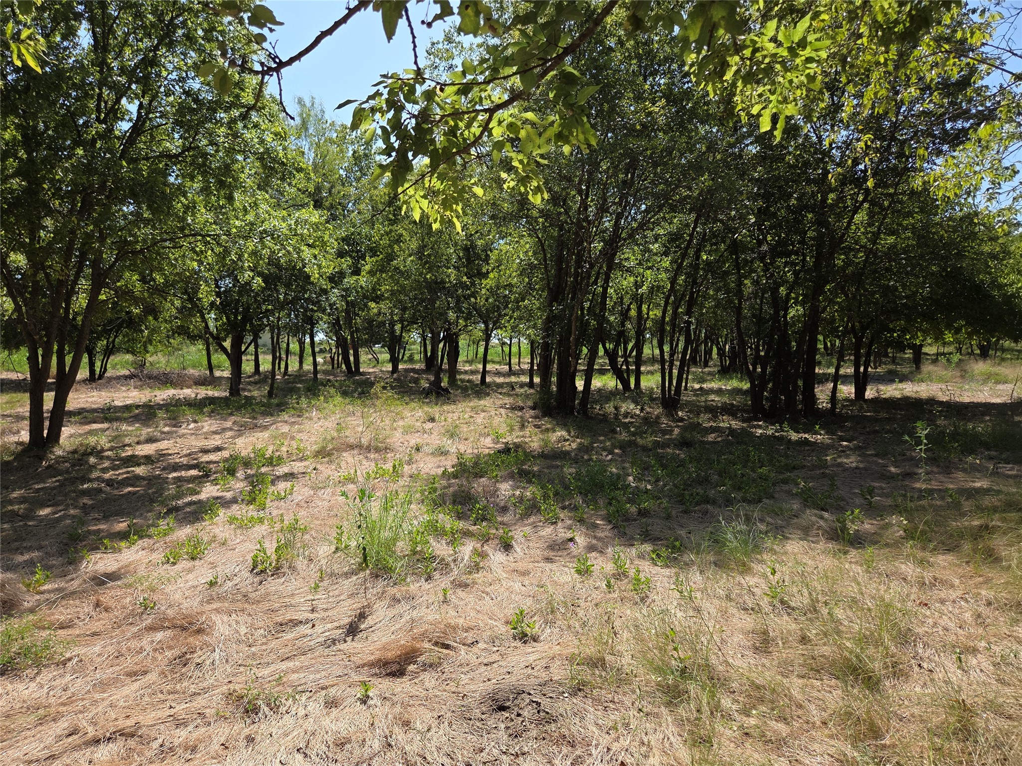 Lot 5-R4 SW County Road