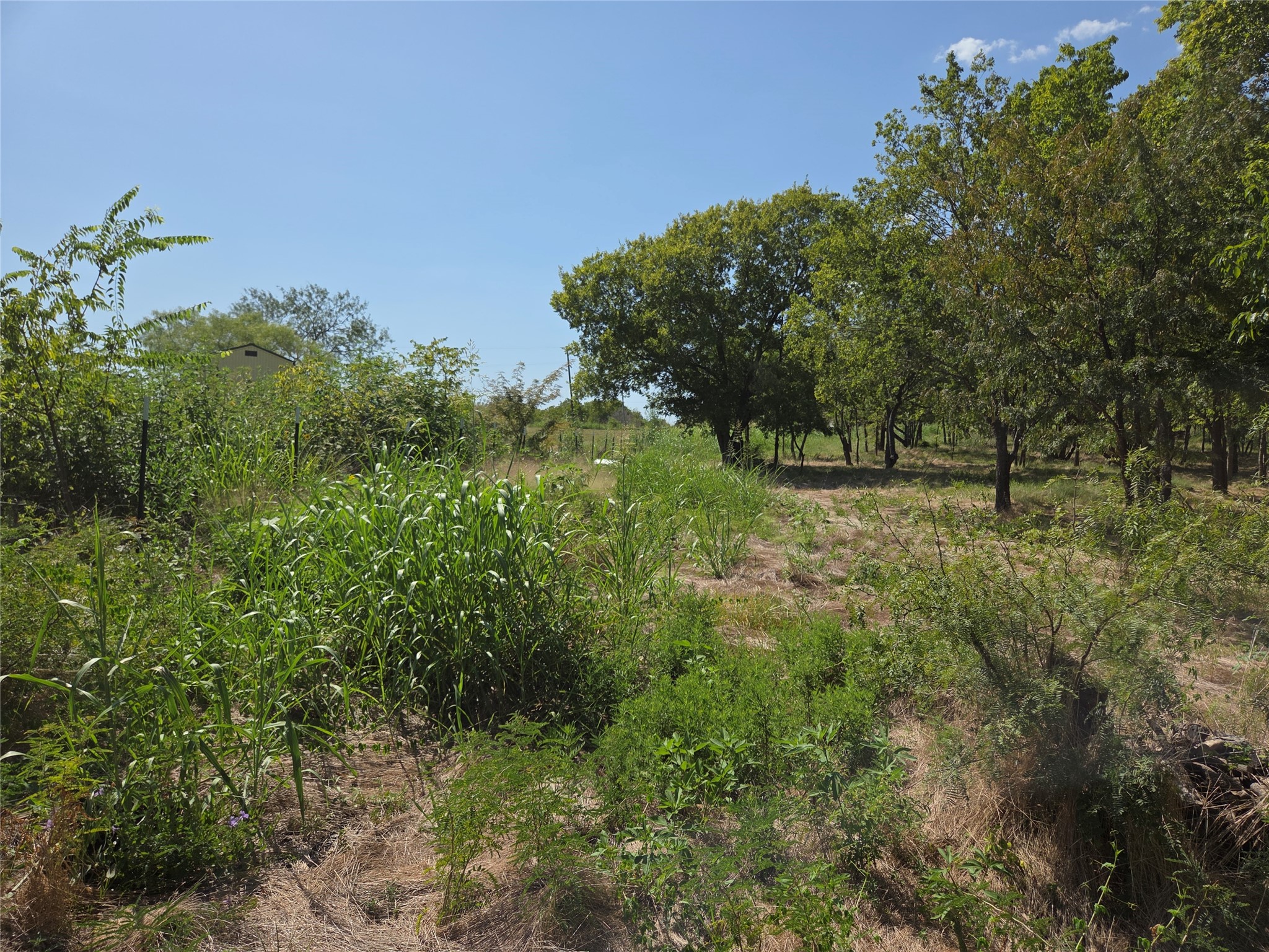 Lot 5-R4 SW County Road