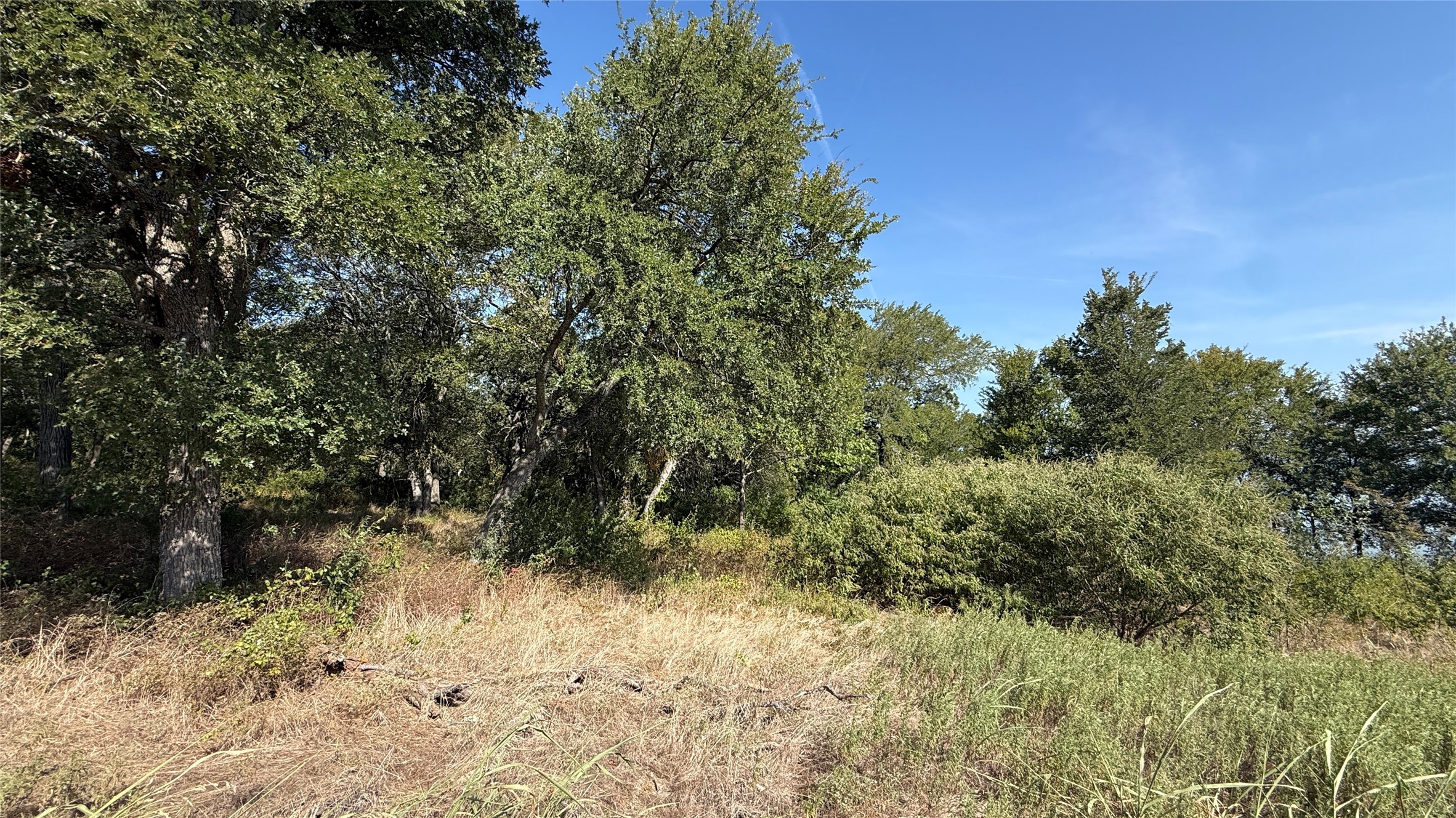 Lot 81 Richland Park Drive