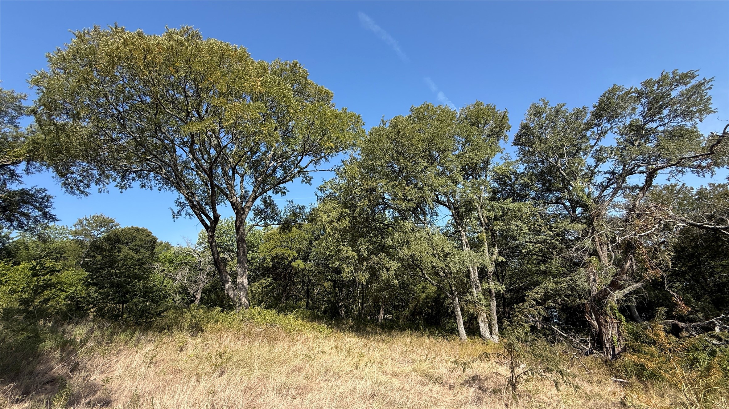 Lot 81 Richland Park Drive