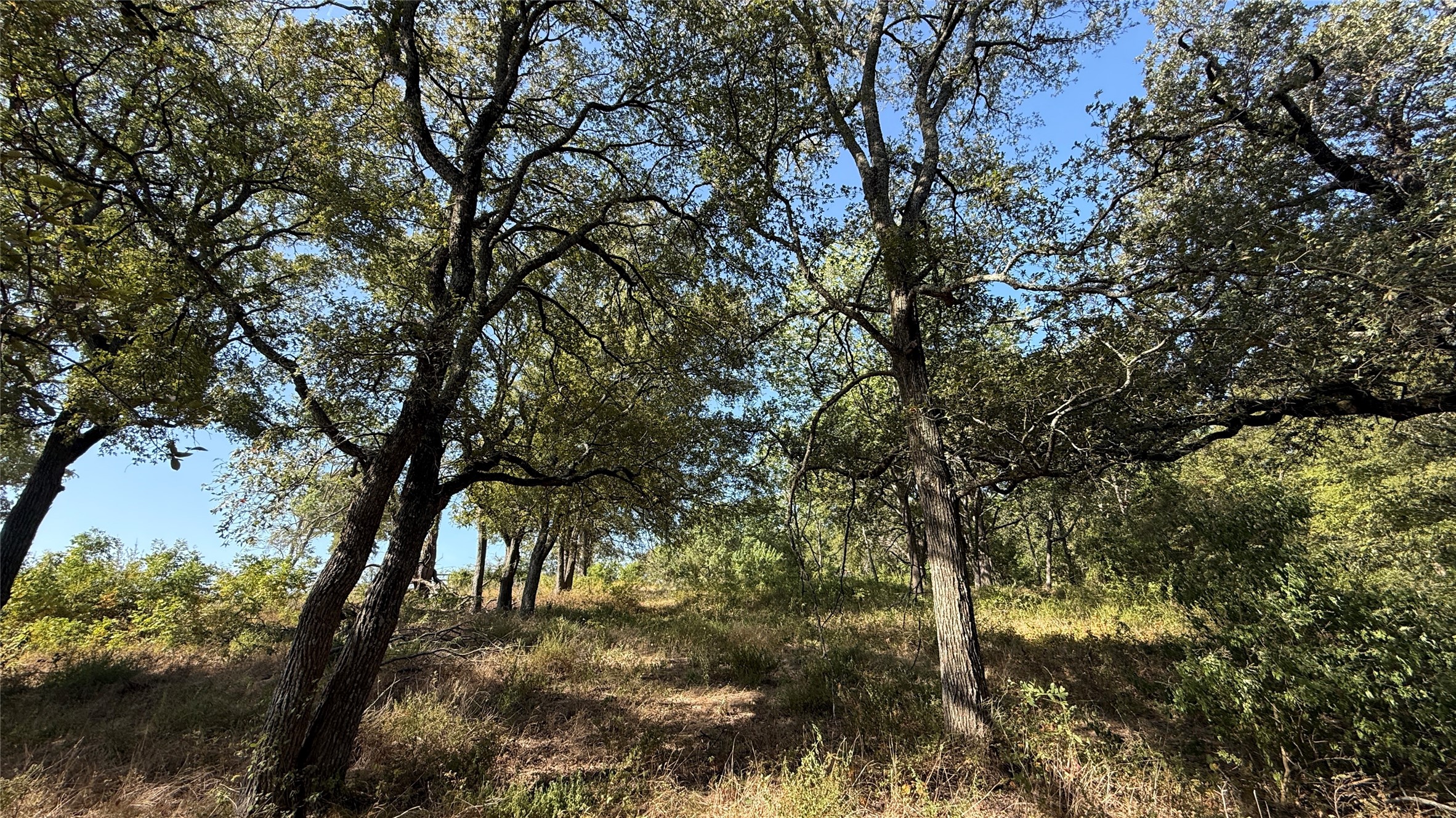 Lot 81 Richland Park Drive