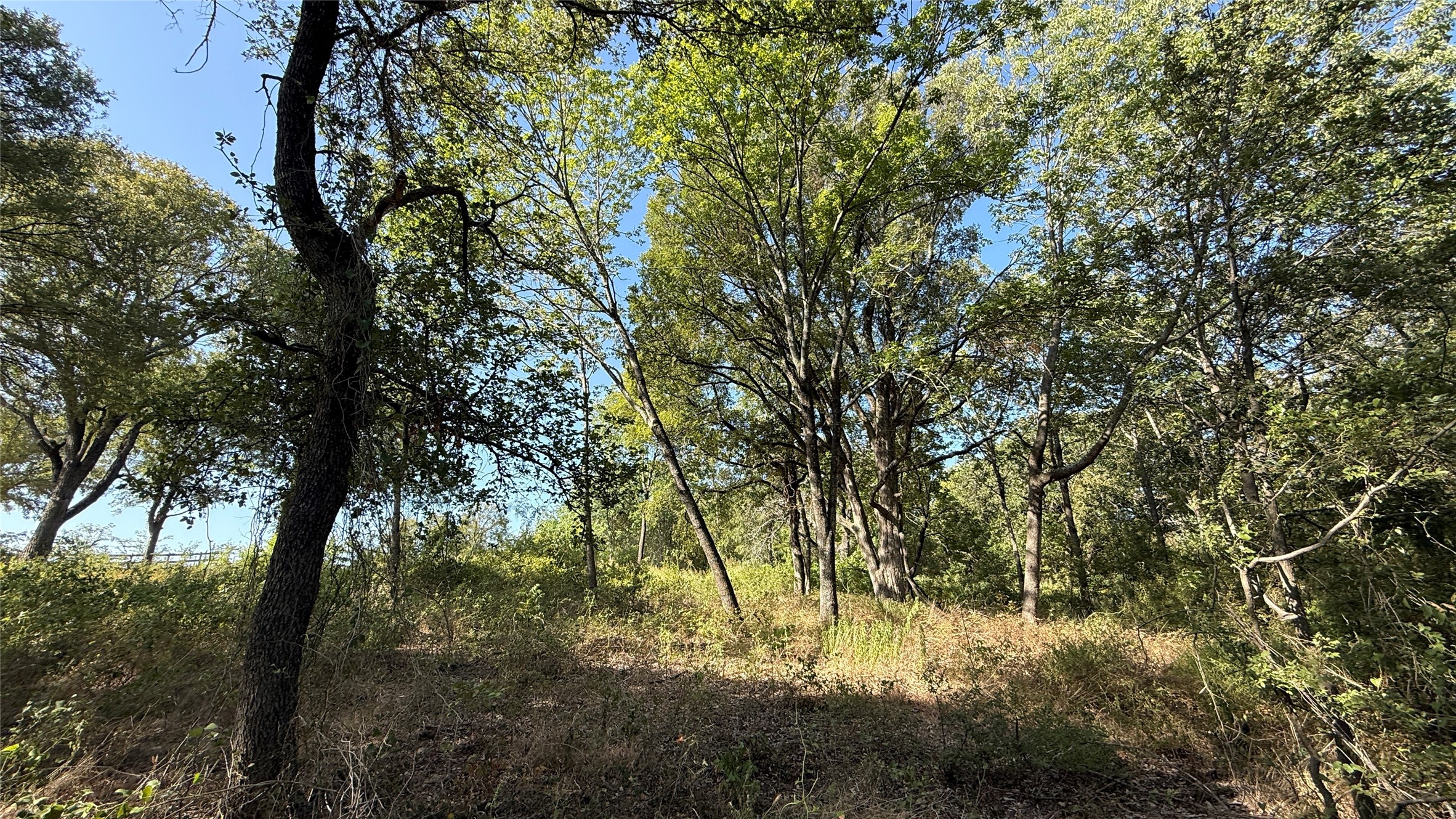 Lot 81 Richland Park Drive