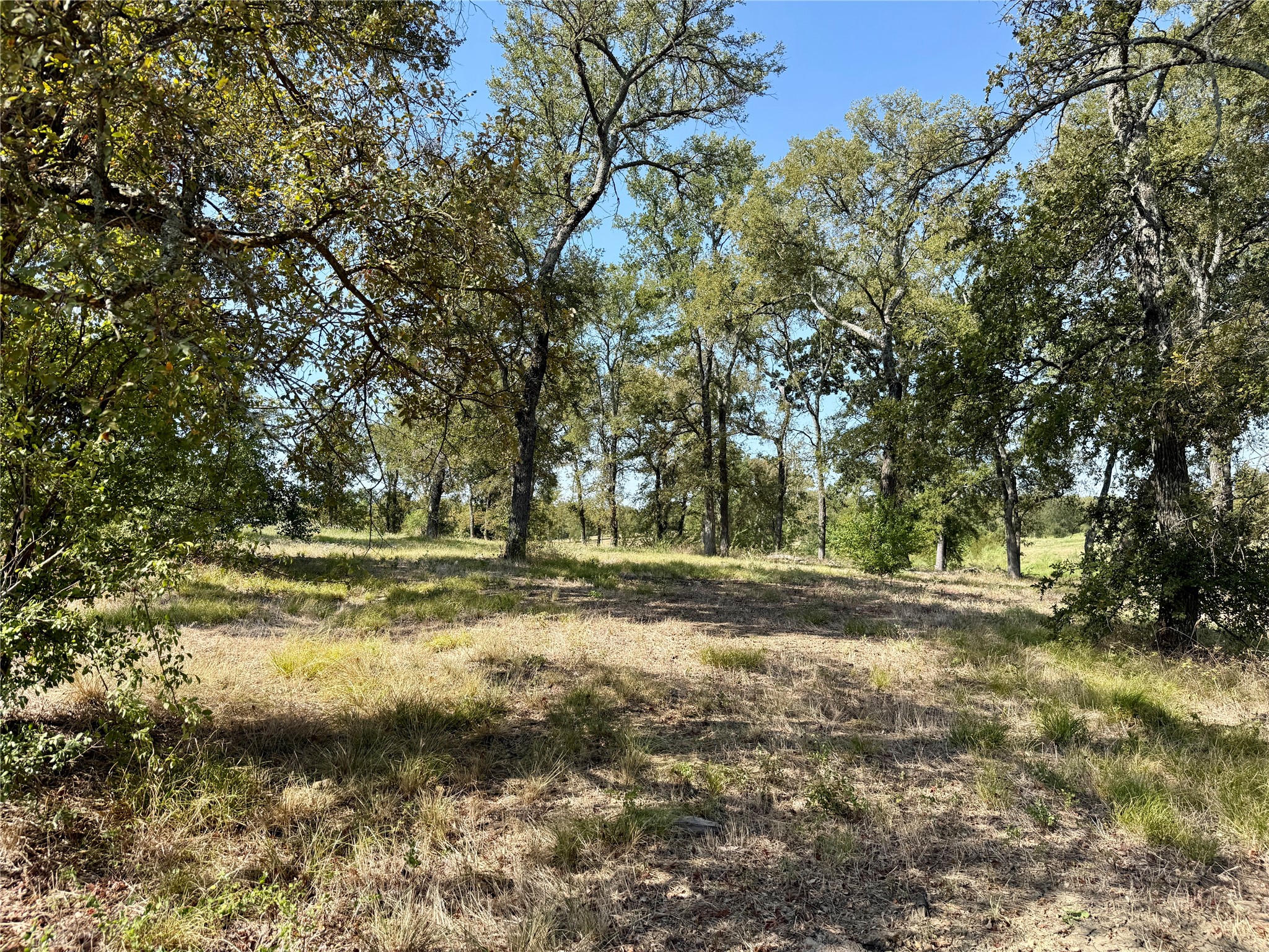 Lot 67 Diamond Point Drive