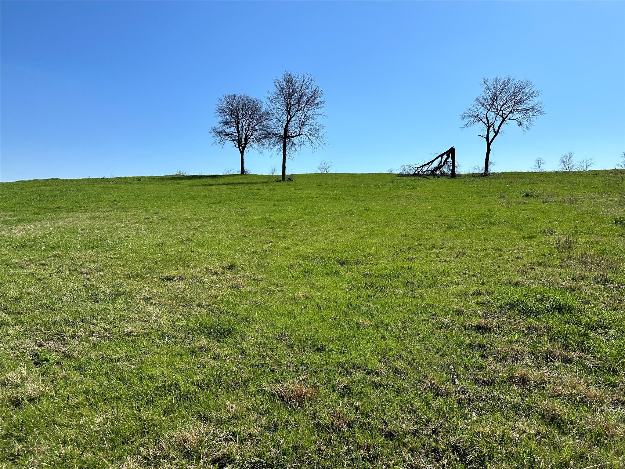 Lot 76 Richland Park Drive