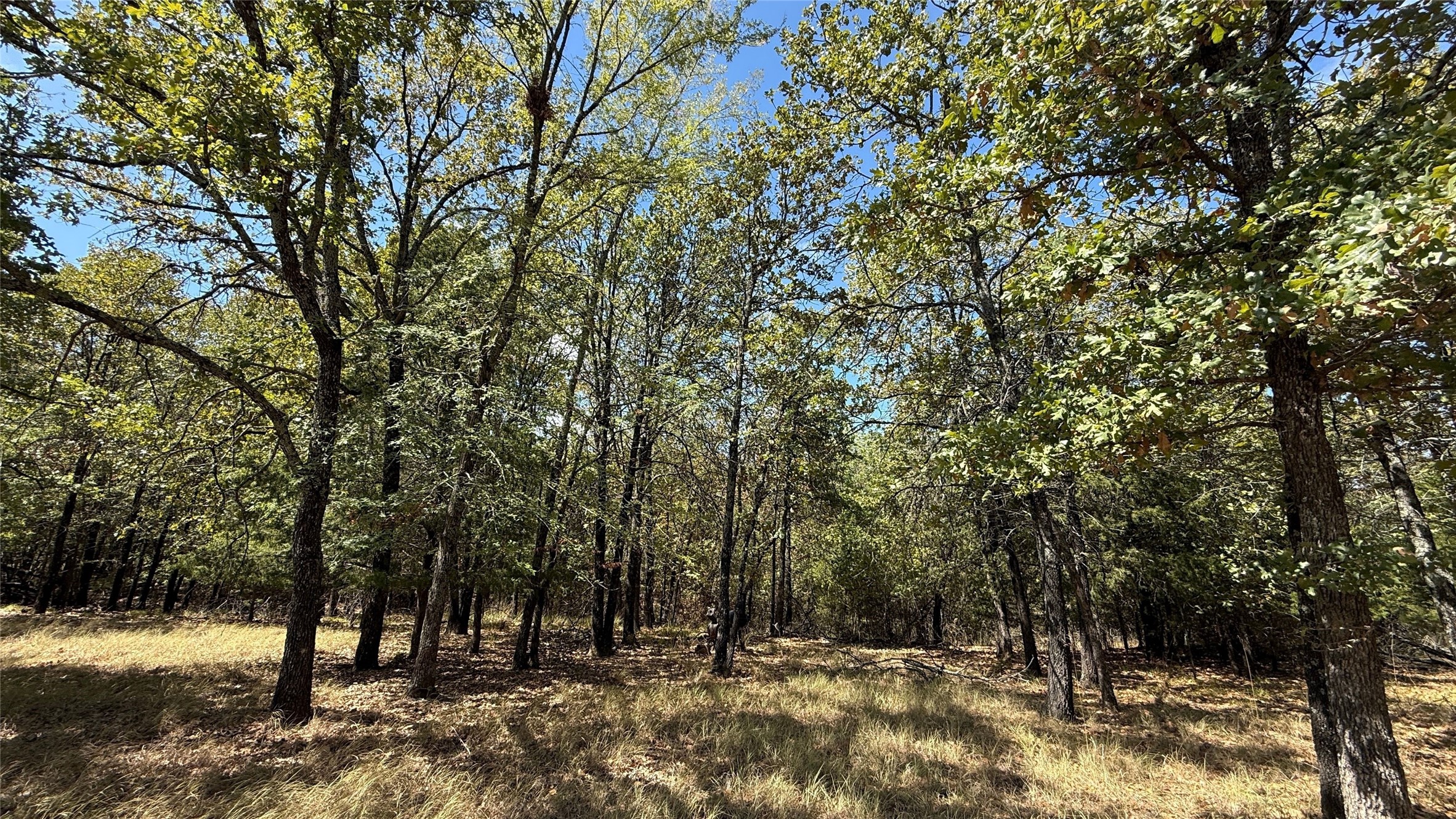 Lot 22 Loper Circle