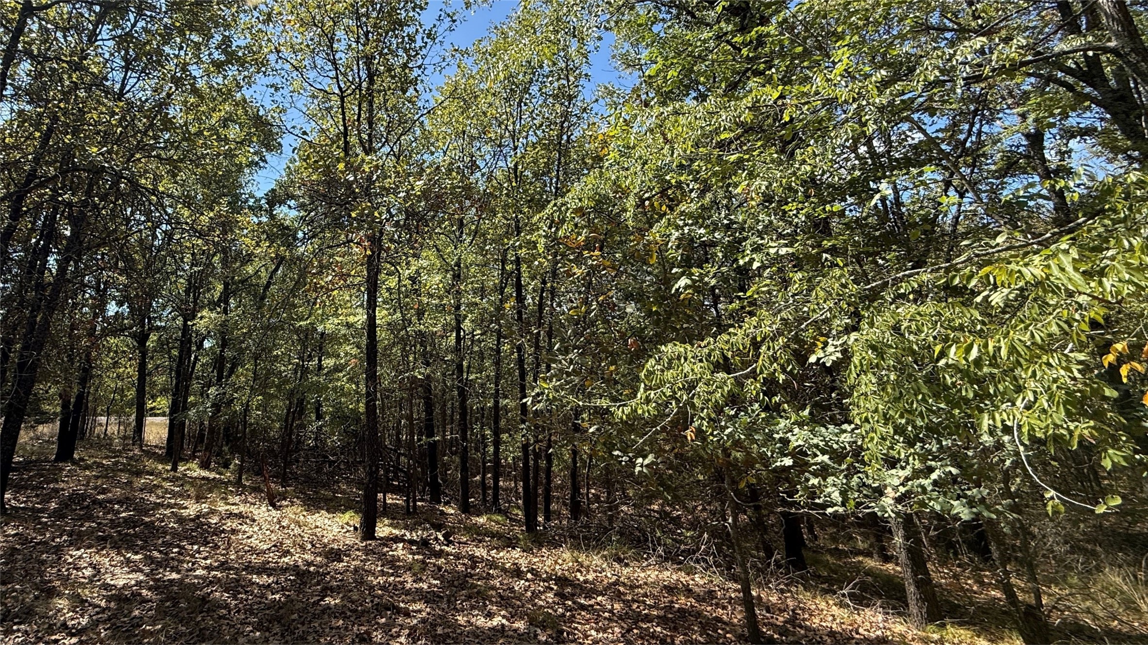 Lot 22 Loper Circle