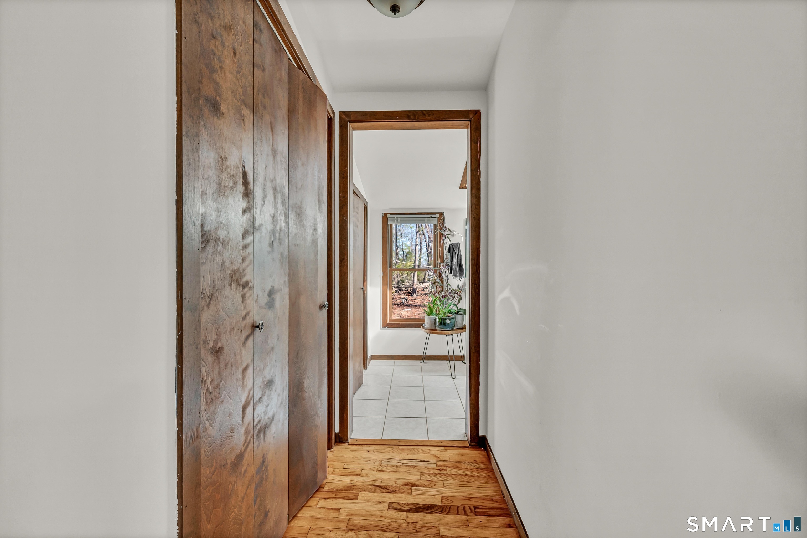 11 Spruce Mountain Trail