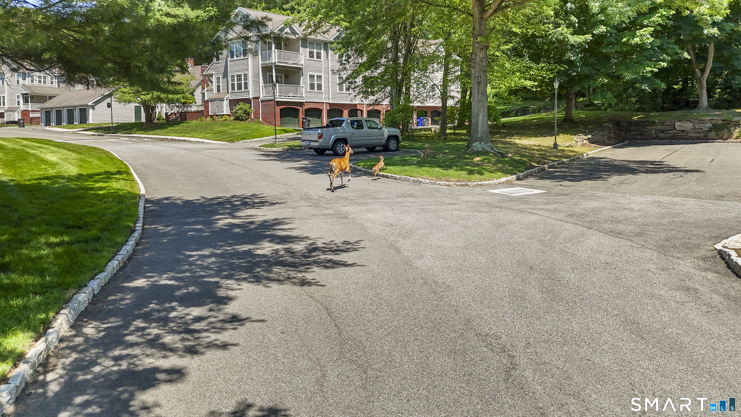 359 Hadley Drive 359