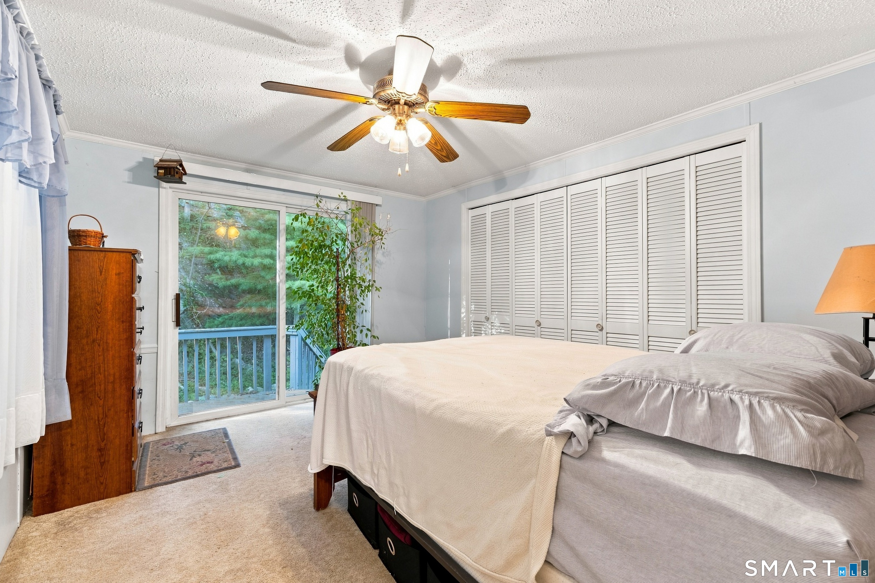 28 Woodland Park
