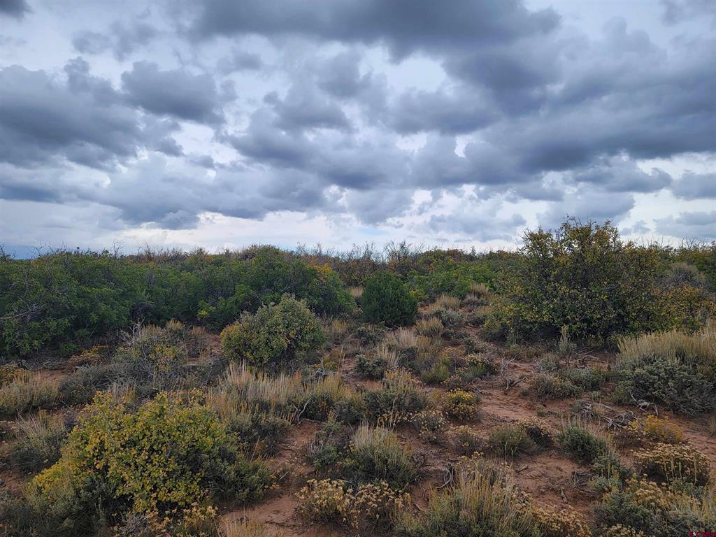 Lots 61 and 62 Road 9.4