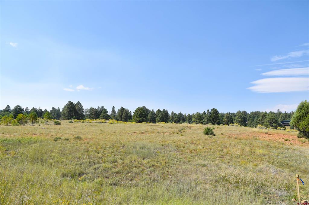 Lot 107 Ponderosa Drive