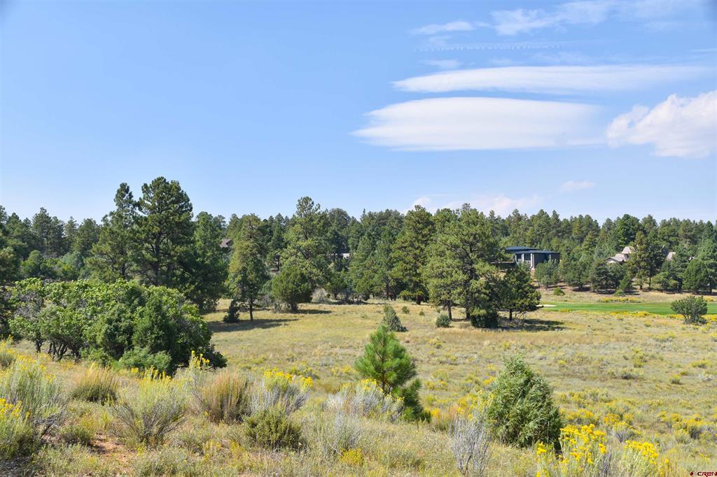 Lot 107 Ponderosa Drive