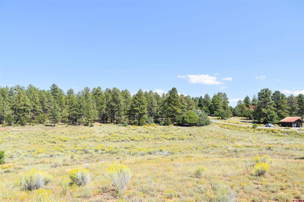 Lot 107 Ponderosa Drive