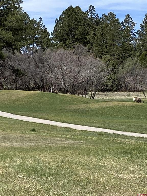 Lot 107 Ponderosa Drive