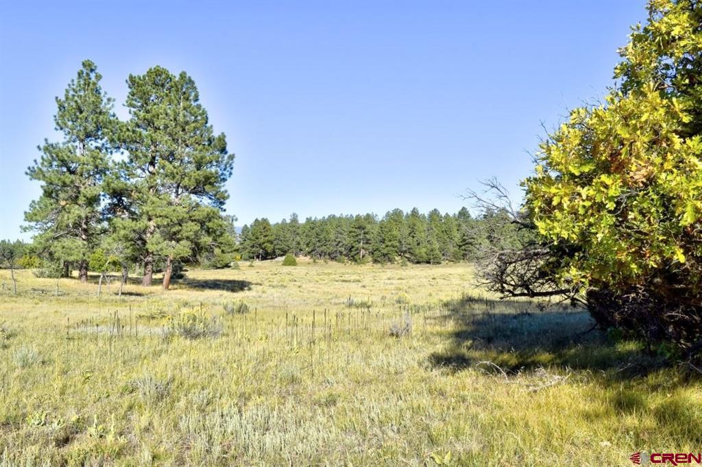 Lot 107 Ponderosa Drive