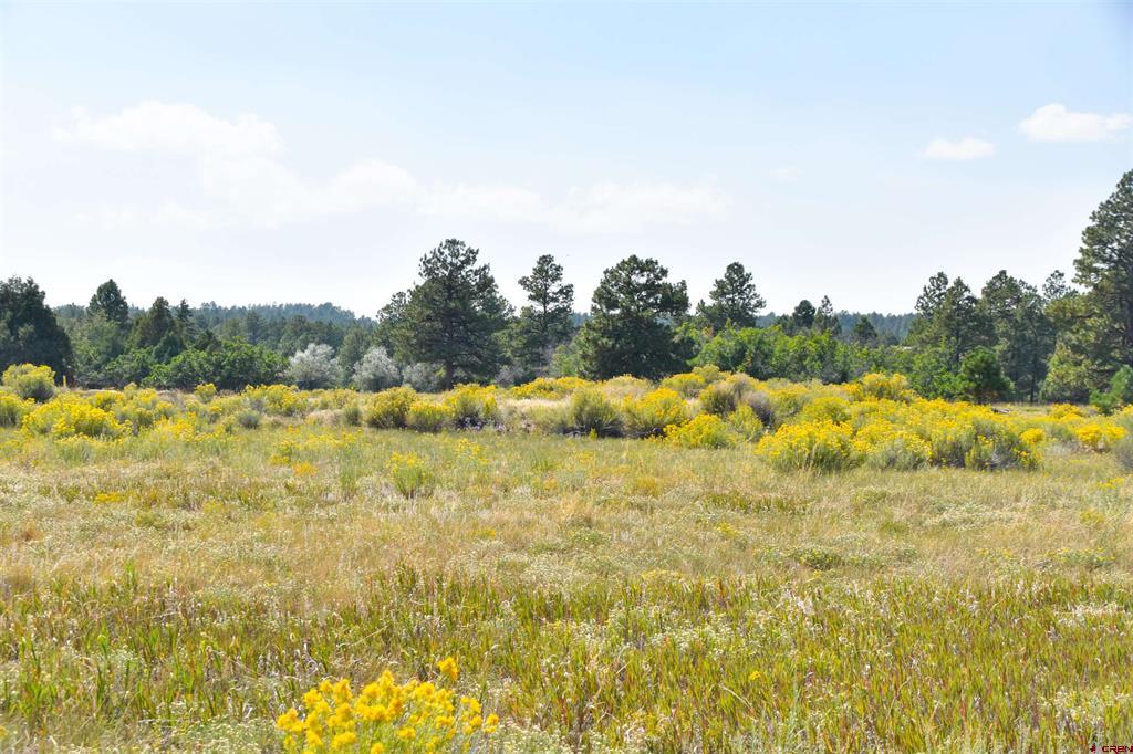 Lot 107 Ponderosa Drive