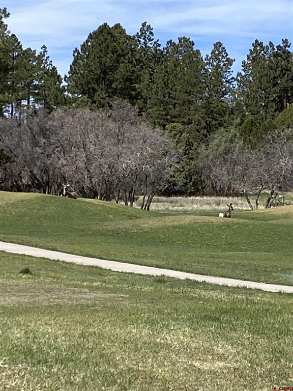 Lot 107 Ponderosa Drive
