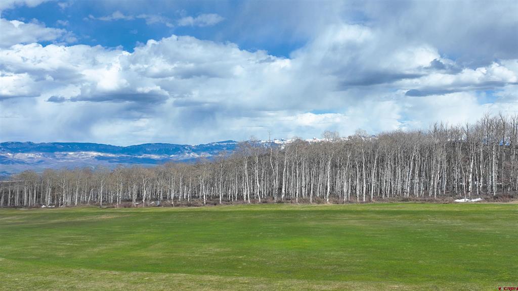 Homestead 1 Birdsong Lane