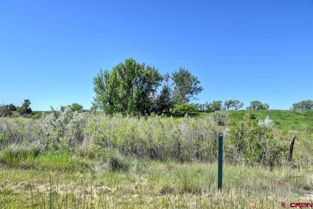 285 Acres Sunnyside Road