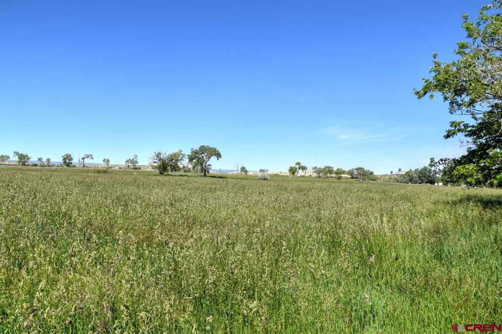 285 Acres Sunnyside Road