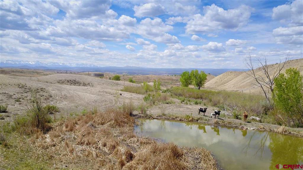 285 Acres Sunnyside Road