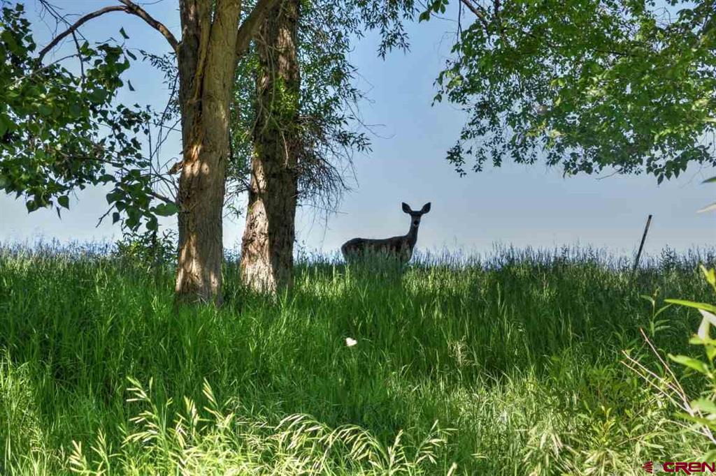 285 Acres Sunnyside Road