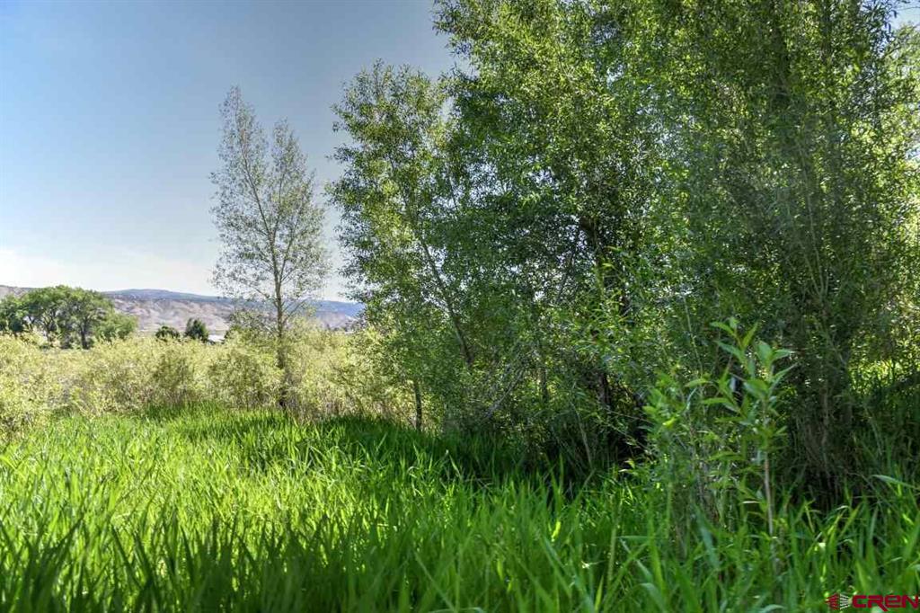 285 Acres Sunnyside Road