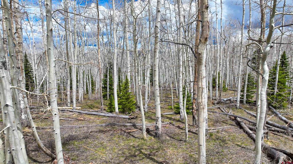 Lot 43 San Juan Vista