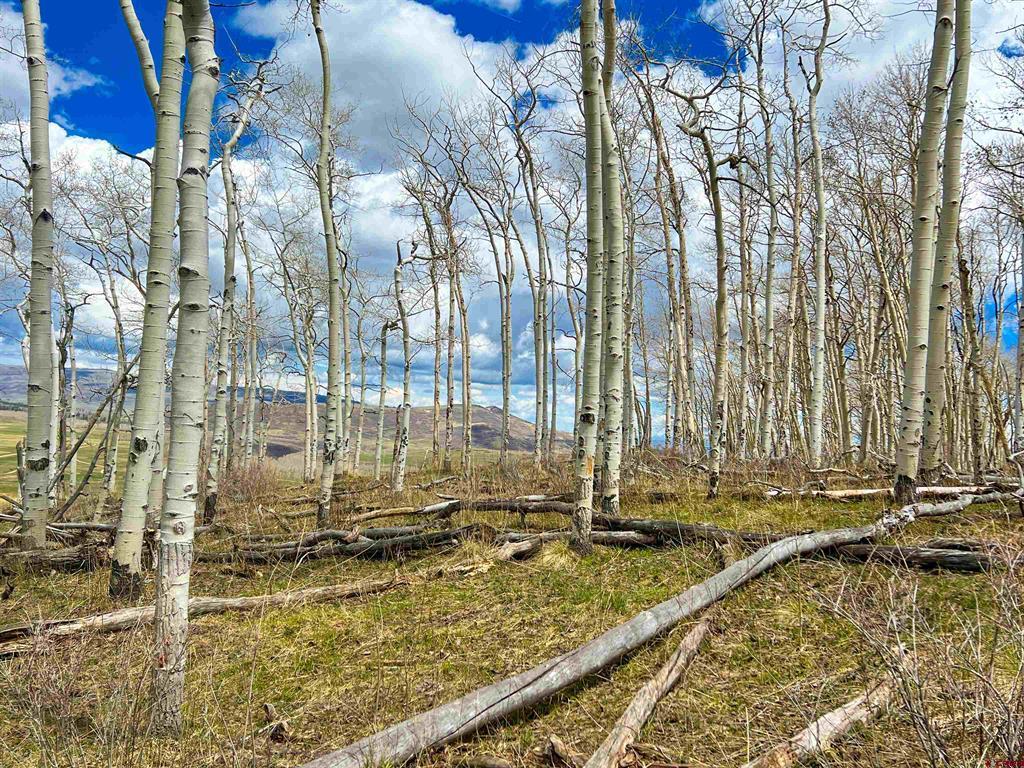 Lot 43 San Juan Vista
