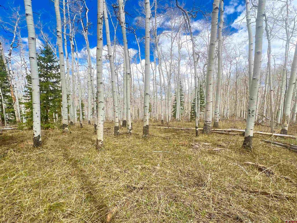 Lot 43 San Juan Vista