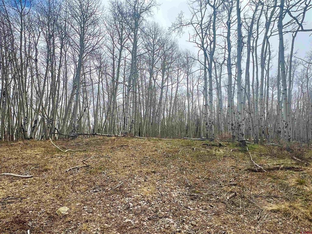 Lot 43 San Juan Vista
