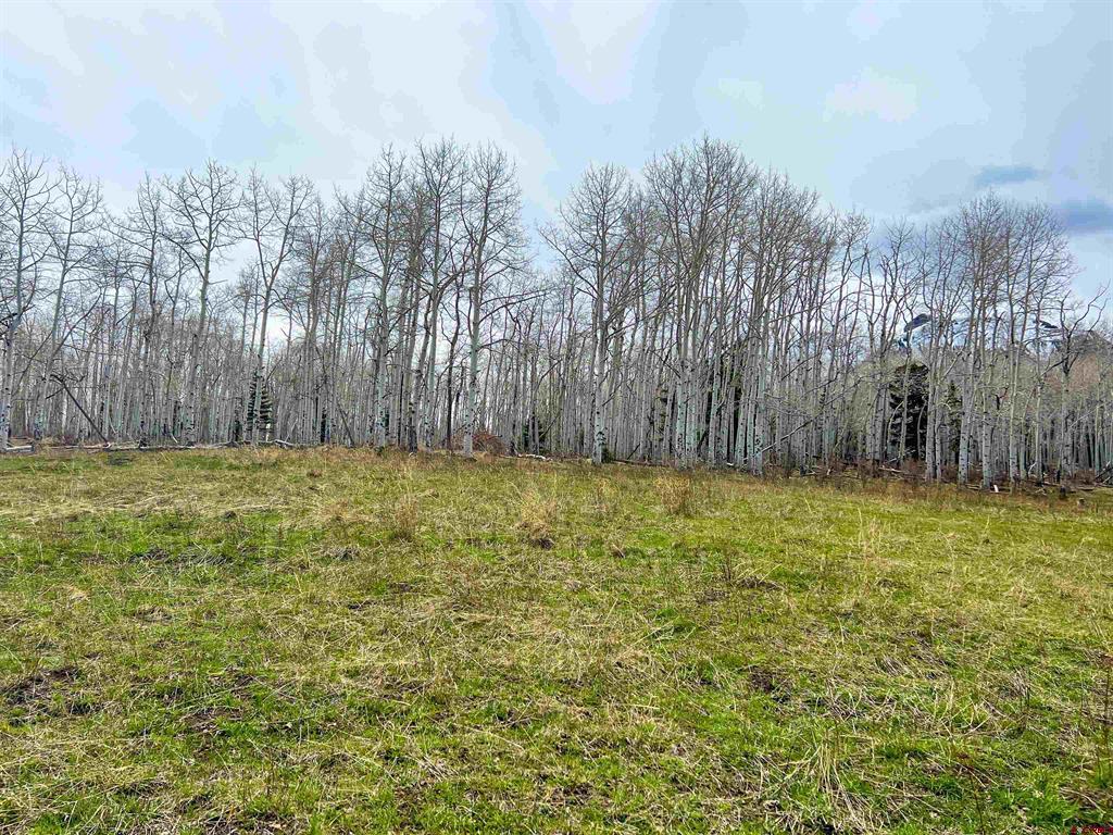 Lot 43 San Juan Vista