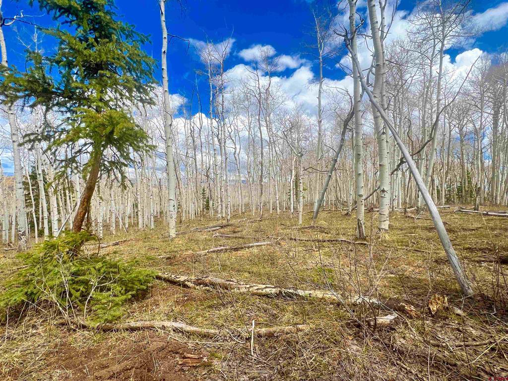 Lot 43 San Juan Vista