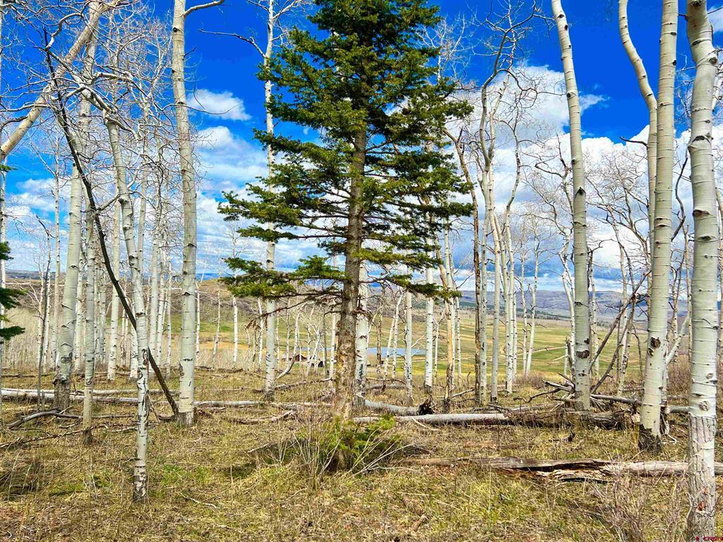 Lot 43 San Juan Vista