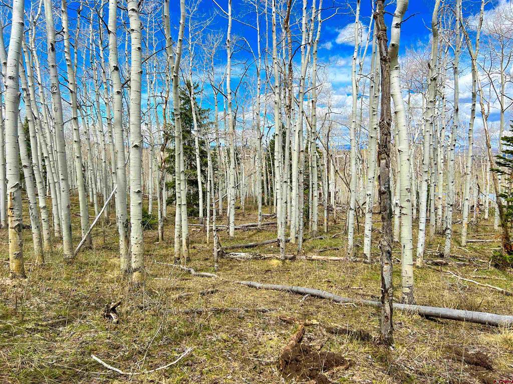 Lot 43 San Juan Vista
