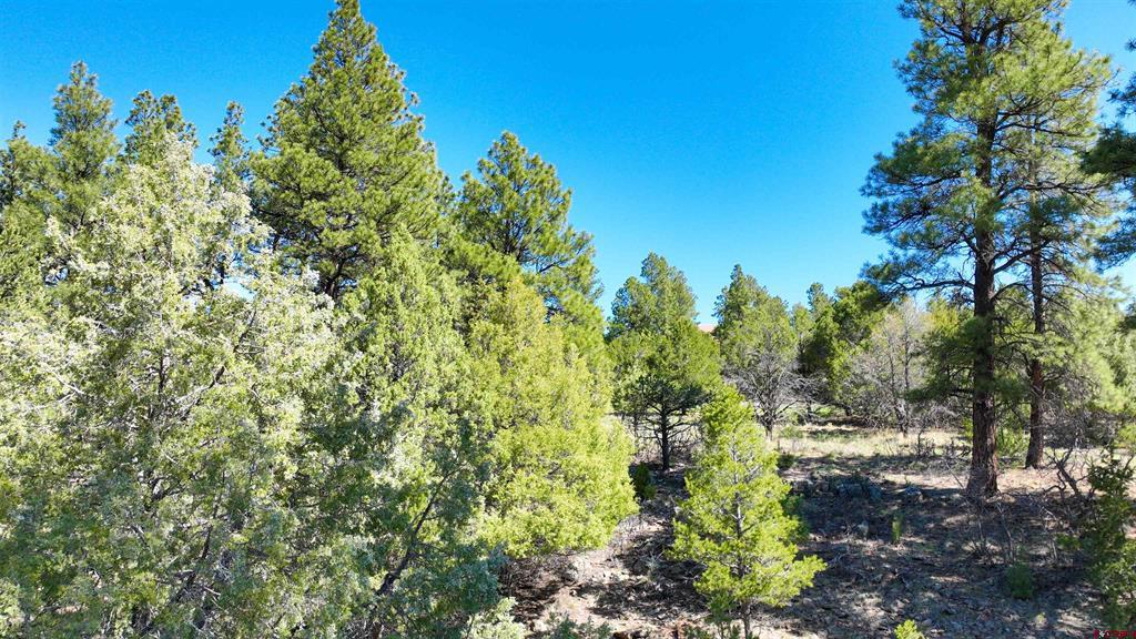 122 White Tail Lane