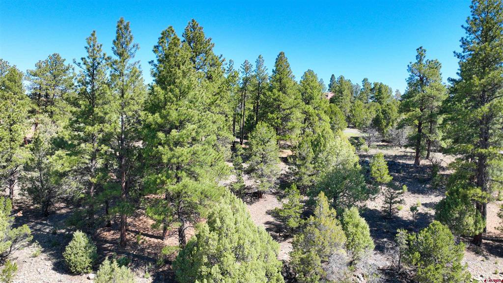 122 White Tail Lane