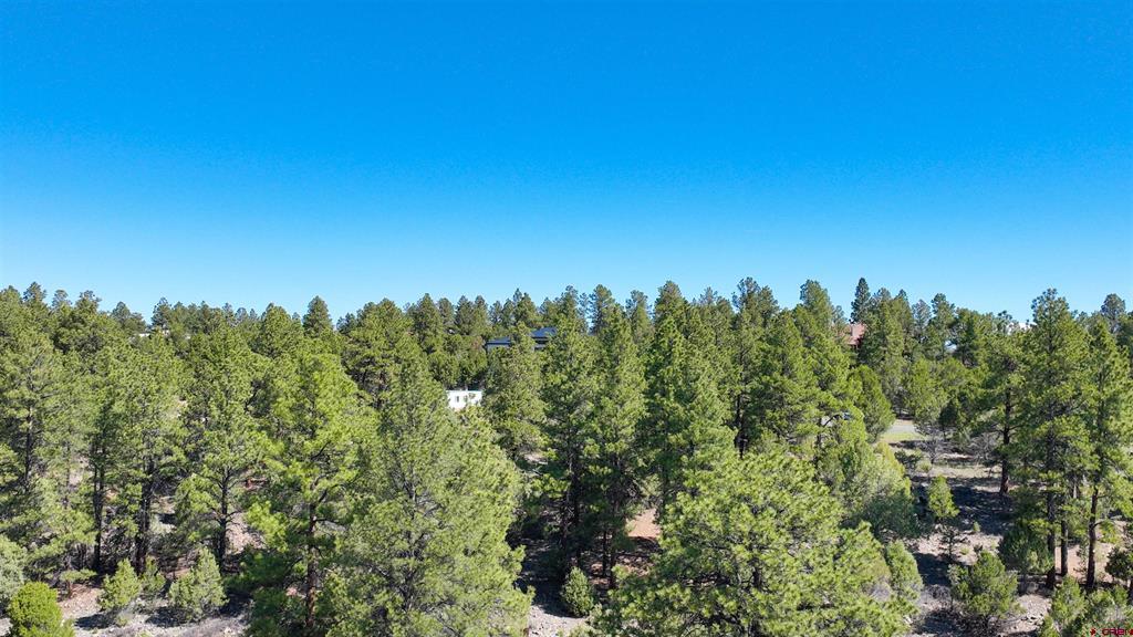 122 White Tail Lane