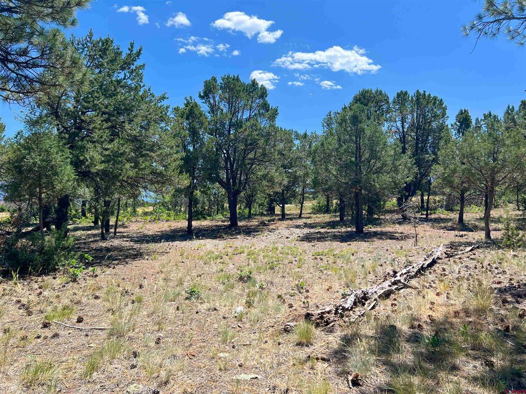 Lot 17 Meadow Lane