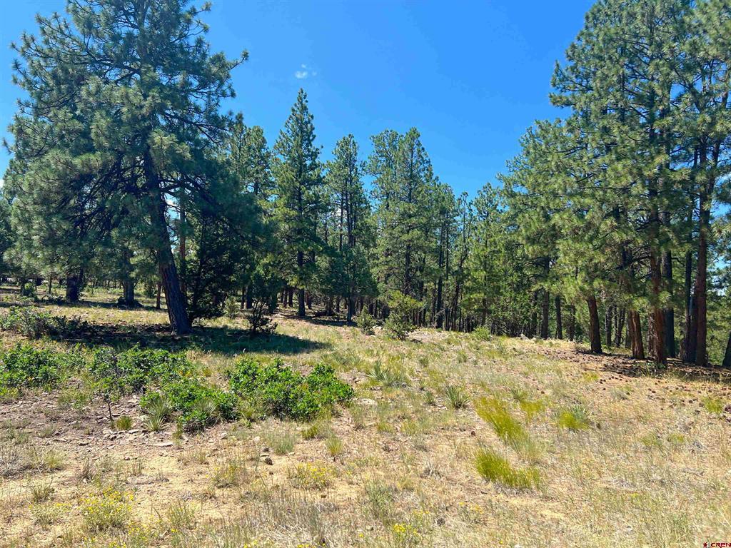 Lot 17 Meadow Lane