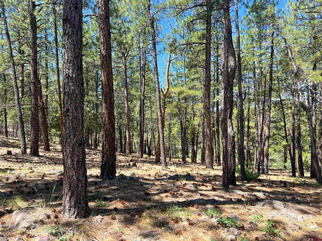 Lot 17 Meadow Lane