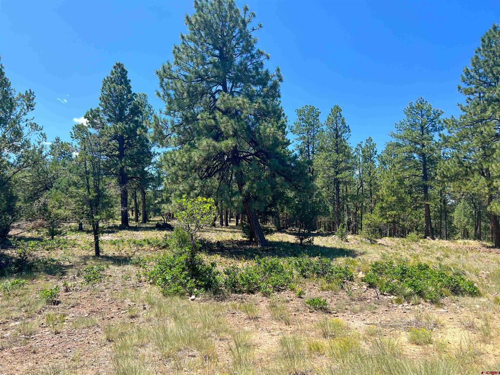 Lot 17 Meadow Lane