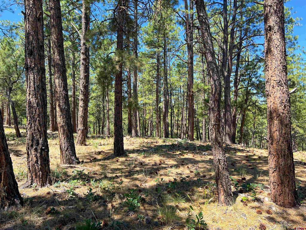 Lot 17 Meadow Lane