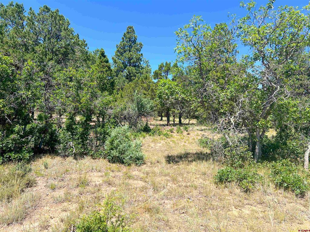 Lot 17 Meadow Lane