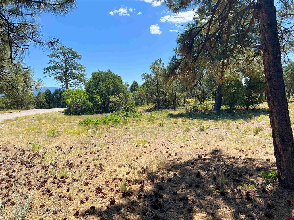 Lot 17 Meadow Lane
