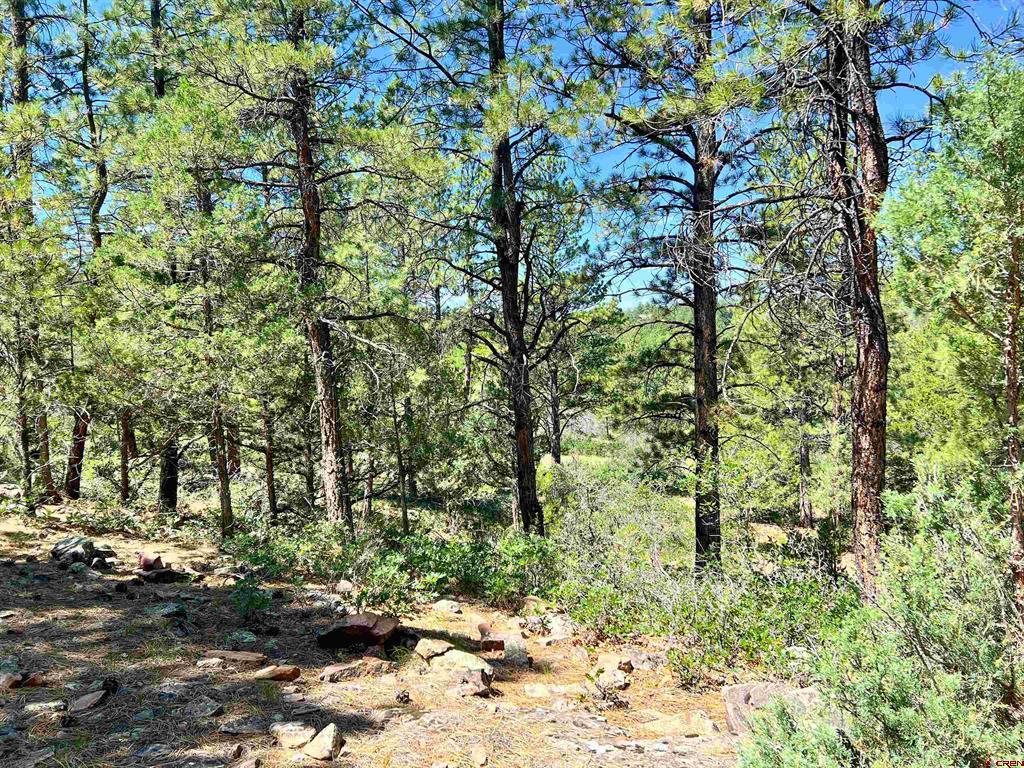 Lot 17 Meadow Lane